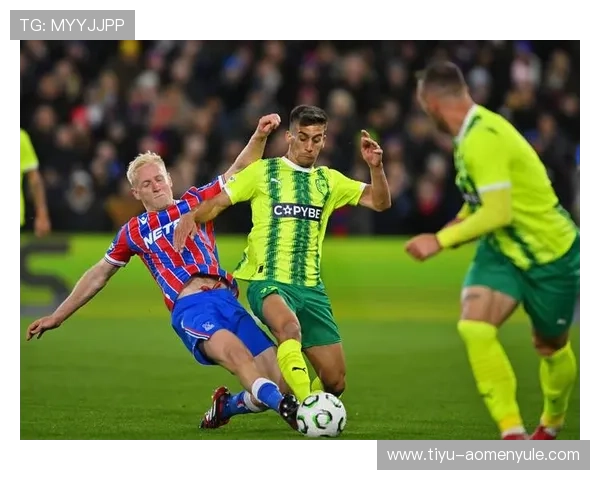 水晶宫主场的正式名称及其背后的故事和意义